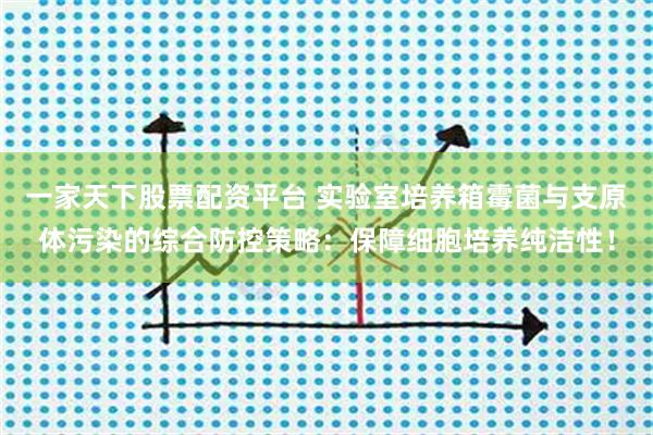 一家天下股票配资平台 实验室培养箱霉菌与支原体污染的综合防控策略：保障细胞培养纯洁性！