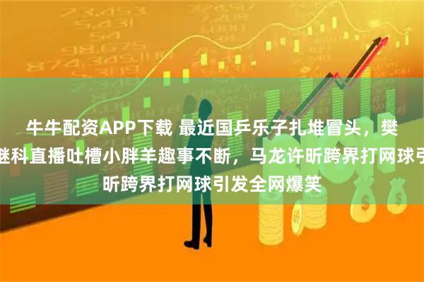 牛牛配资APP下载 最近国乒乐子扎堆冒头，樊振东生日张继科直播吐槽小胖羊趣事不断，马龙许昕跨界打网球引发全网爆笑