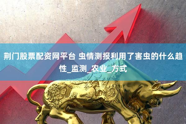 荆门股票配资网平台 虫情测报利用了害虫的什么趋性_监测_农业_方式